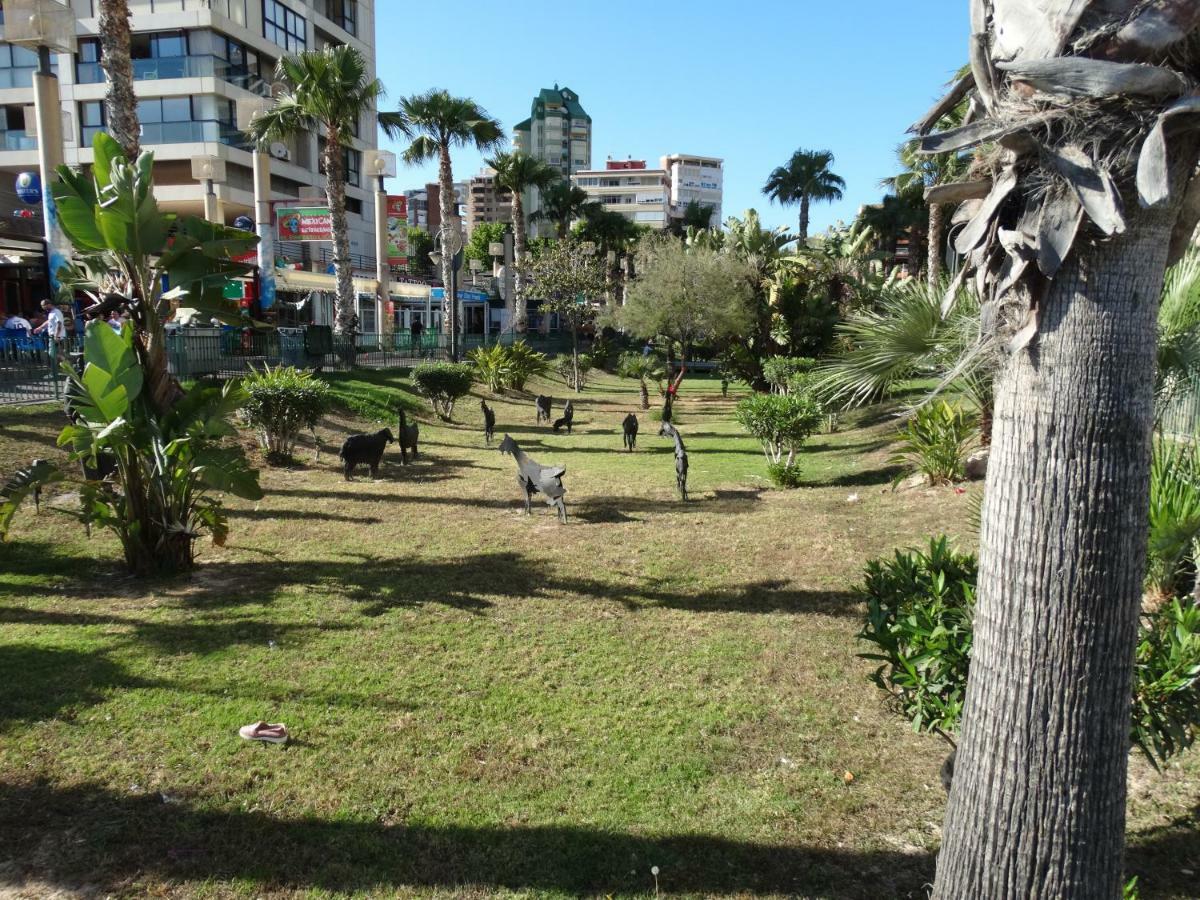 Apartment 2 Bedrooms, 250M Levante Beach Benidorm Bagian luar foto